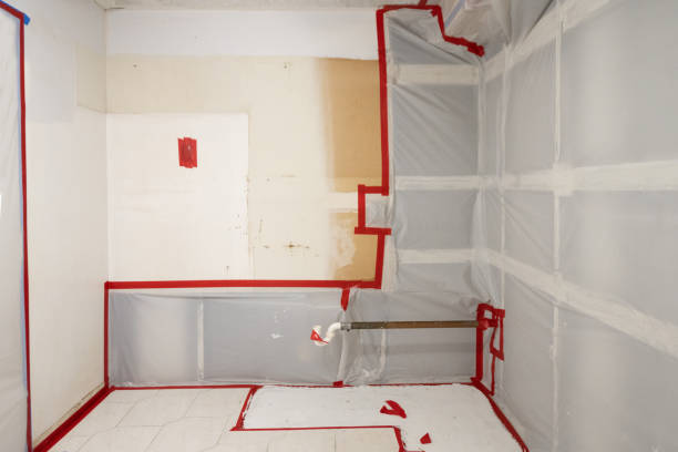 Best Mold-Related Health Consultation  in Pepeekeo, HI