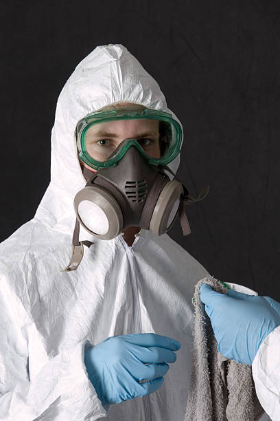 Best Black Mold Removal  in Pepeekeo, HI